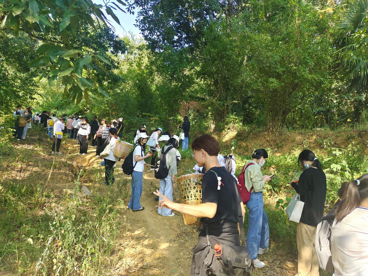 fd6bb444688d641c653be35f8e9c080